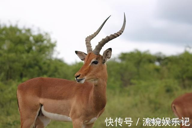 12个冷知识:你可能没听说过,但却一定真实有据