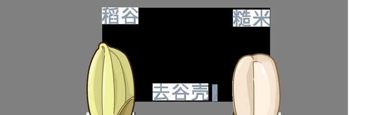 中国人吃的白米饭，其实是“最差的主食”？原来这么多年都吃错了