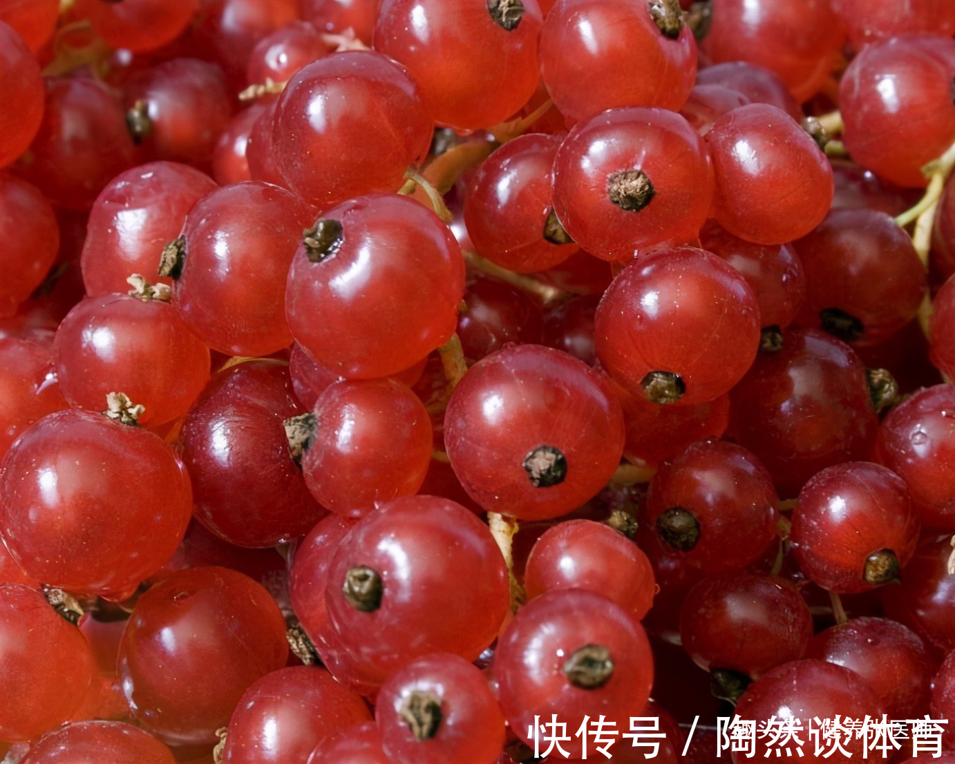 防皱纹|女性再没钱,3种食物不要省,润肤养颜,防皱纹,好处多多