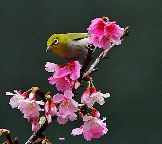 孩子拒绝上交压岁钱,家长可以这么做
