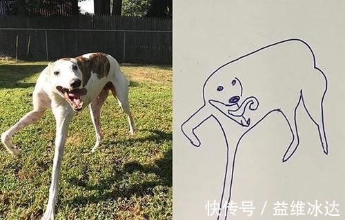 |“灵魂画手”笔下的宠物,抽象又搞笑的画风,完美抓住了“灵魂”