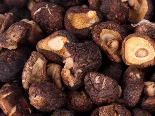 孕妈|女人怀孕后,4种食物生活中多吃一点,或能够帮助胎儿健康发育