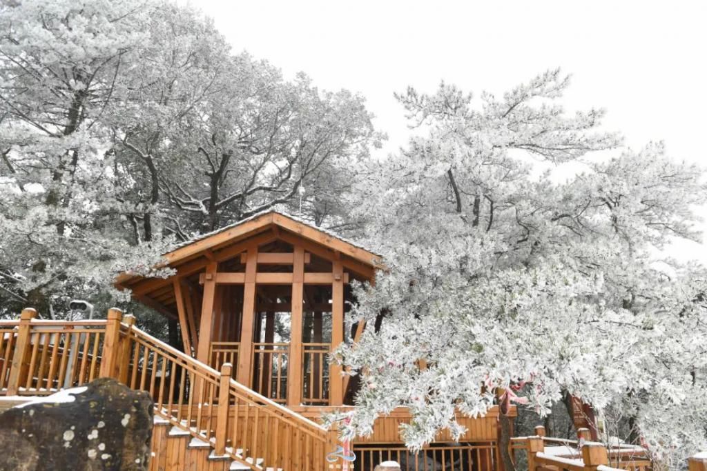 县区|初雪！周边县区雪景美图来袭！