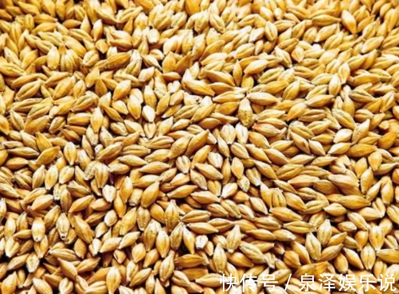 人到中年|人到中年,3种食物经常吃,排毒清肠,养护肠胃,增强体质