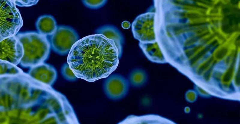 转移|癌症是怎么发生转移的?转移后怎么办?老中医:牢牢记住这几点