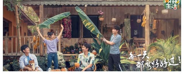 節(jié)目|楊紫李易峰新綜藝曝光，或組成新的“家庭關系”，共同在農(nóng)村生活