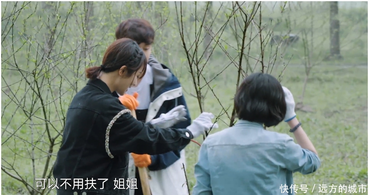 带动|杨紫上《向往的生活》送温暖,凭一己之力带动了各路热搜