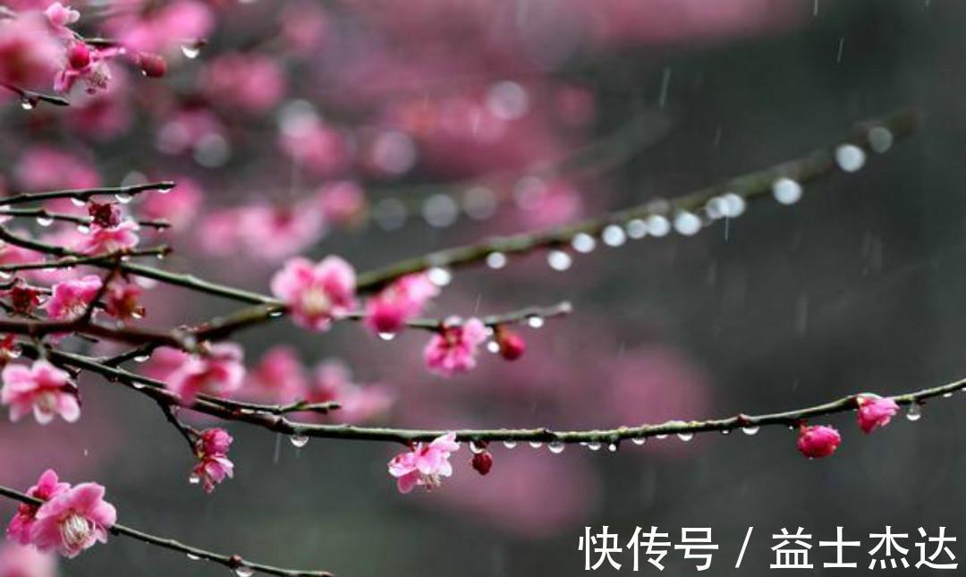 山居$宋朝诗人吴涛这首《山居》,看似写得很一般,其实句句令人惊艳!