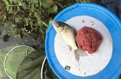 不注意这3个方面，在流水水域钓鱼你就等着空军吧！