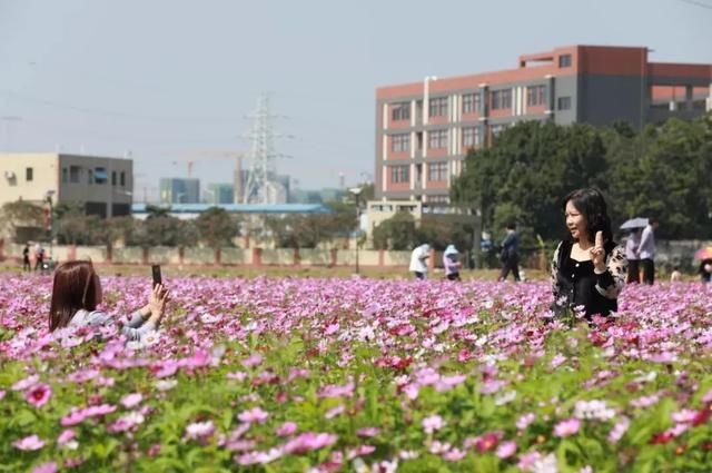 低薪|东莞“小蛮腰”刷屏朋友圈！牛年这些景点很“红”