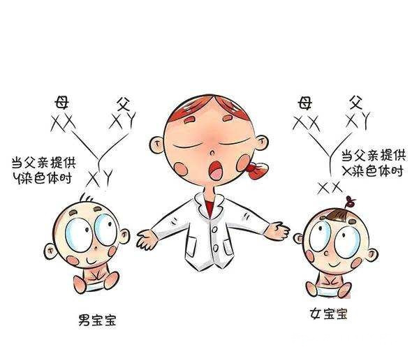 女婴|女婴出生率越来越高,大夫说出4点原因,很现实