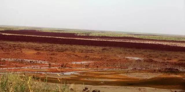 中国最美六大沼泽湿地,养在深闺无人识,去过的都惊叹不已