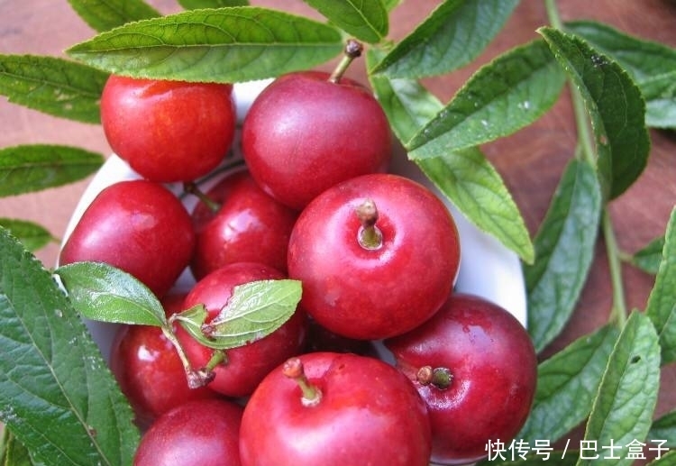 此果冬天要常吃,再贵也别省,营养比吃钙片还管用,皮肤细腻水嫩