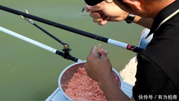 爆发力|盛夏野钓鲢鳙三步走,黑漂一个连一个,让你提竿到手抖