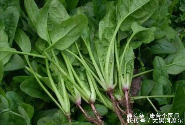 爱吃的人才长寿,以下食材要多吃,美容养颜、嫩白肌肤,预防便秘