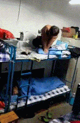 |搞笑GIF:明天就要考急救术了,今晚要通宵学习了!