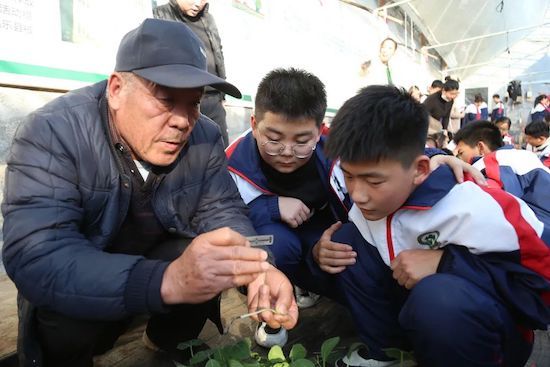 学校|奎文区圣卓实验学校：弦歌不辍担使命，培德育人守初心