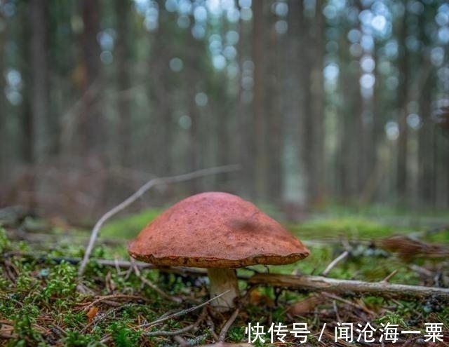 水瓶座|下周开始，财运飙升，事业得心应手，逃不掉好日子