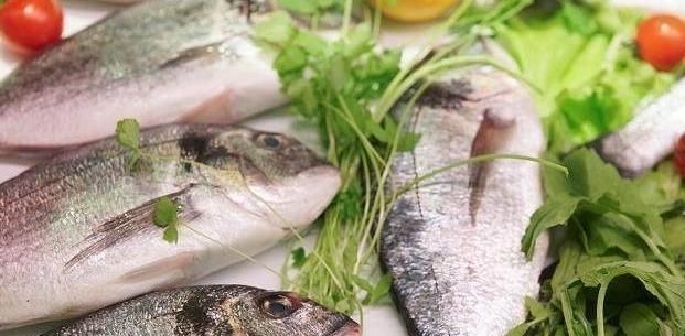 脂肪酸|抗衰老最“厉害”的4种食物,女性坚持吃,皮肤嫩滑,年轻不显老