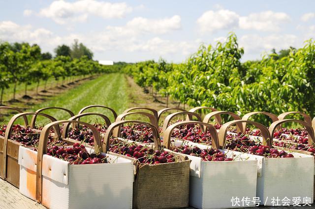  医生|医生建议胃病患者这6种食物尽量少吃，或许可能会加重胃病