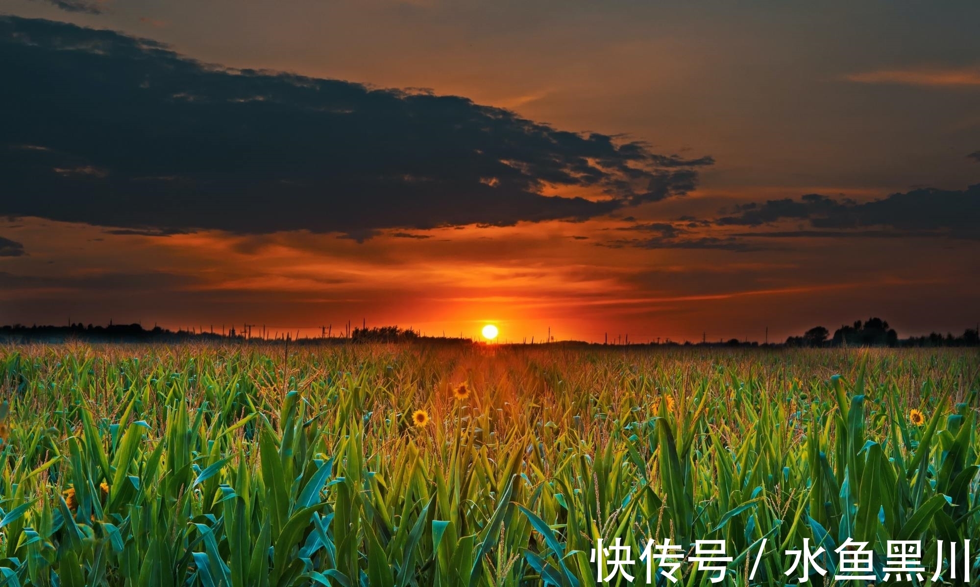 马谡#10句流传很广的民俗谚语，句句大白话，却讲出基本的为人处世道理