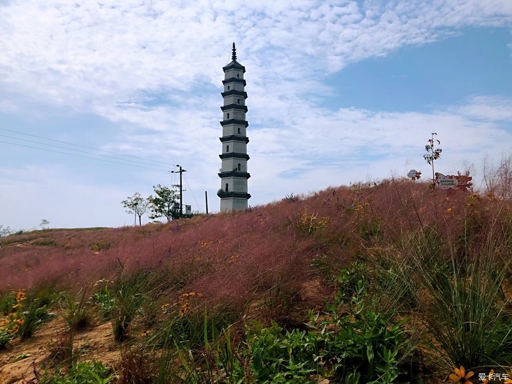 灿烂|晴空万里，鲜花灿烂