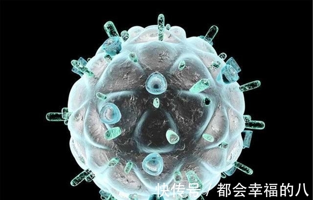 艾滋|艾滋病源于黑猩猩,那第1个得艾滋病的人,到底对猩猩做了什么?