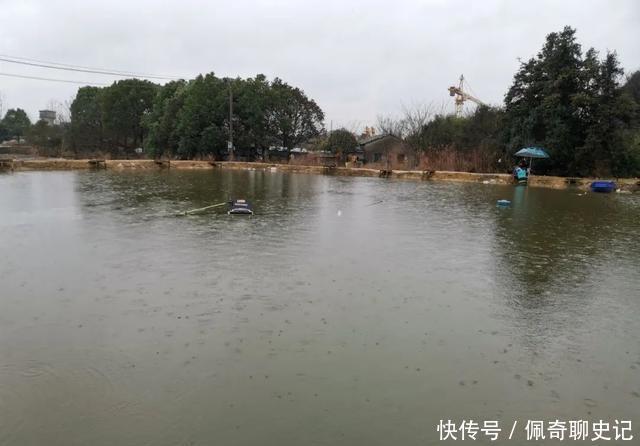 一逗就有口!降温天黑坑偷驴,凭借这一小技巧才拿下坑冠