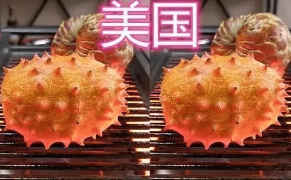 迪拜|同样是烧烤,中国人烤西瓜,泰国人烤椰子,看到迪拜这才是“壕”