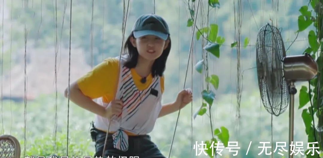 嘉宾重复请、广告太频繁、农活总干不完，被《向往4》劝退