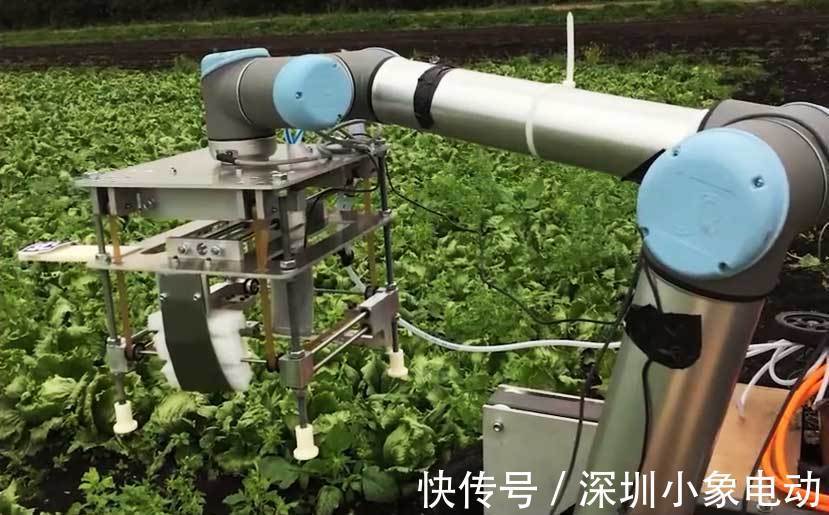 农业机器人|智慧农业的未来——5款人工智能农业机器人