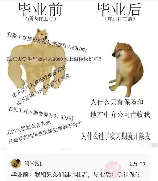 |搞笑神评:当初让你好好上学,你偏说放牛好