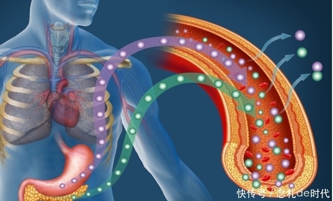 人体|5种身体问题，通过力量训练可明显改善，特别是中老年人需重视