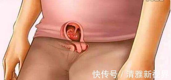 发育|宝宝是怎么被慢慢孕育出来的,十张过程图,一切来之不易