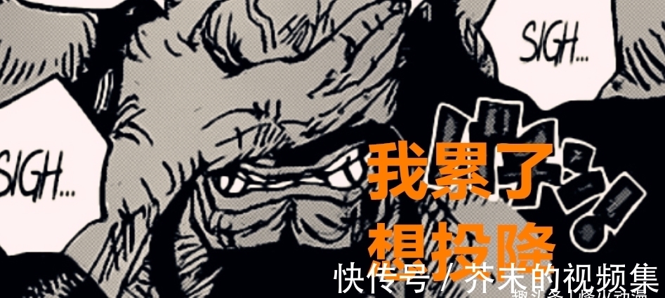 桃之助|海贼王1014话：霸王色缠绕加爆头都死不去，凯多：我想投降，累了