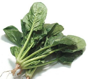 营养价值最高的十大蔬菜