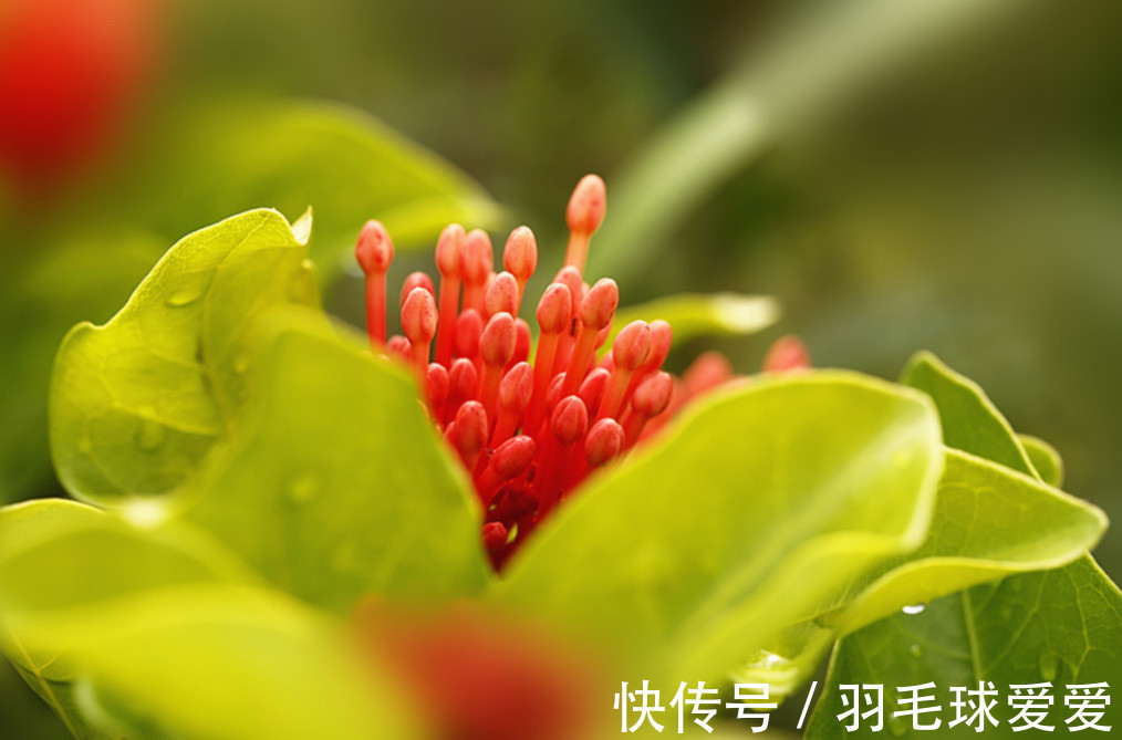 水瓶座|口才非常不错,能够以一敌十的三大星座