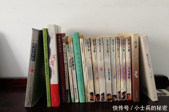 搜罗|书架上这些苏童作品是我搜罗多年的珍爱之作,跨度达20多年