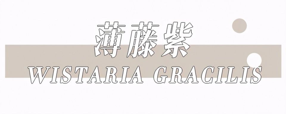 挂耳染过时了？2021年流行“发带染”，显白又高级