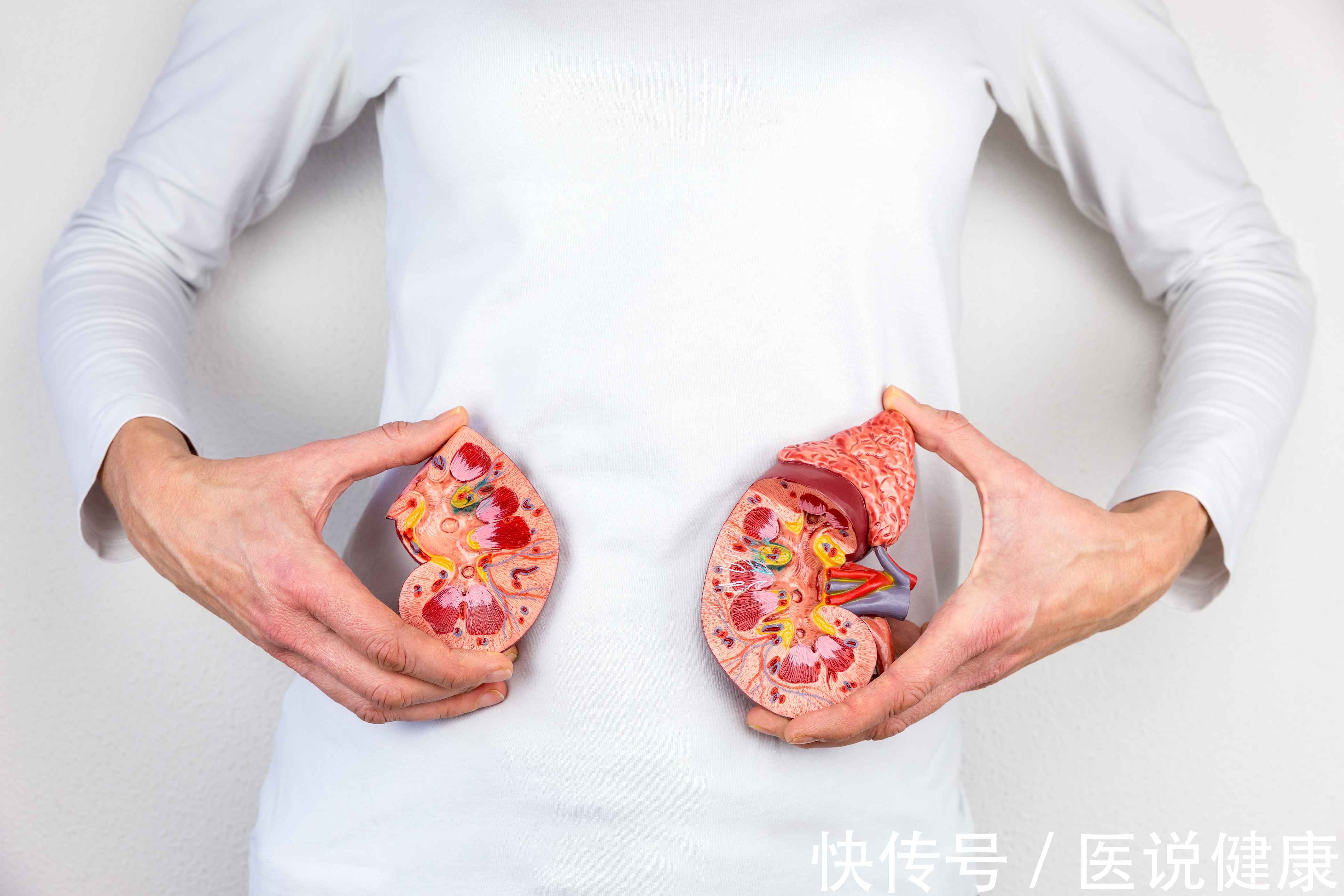 浓度|这4个行为习惯,或诱发肾结石,若你有,趁早改正