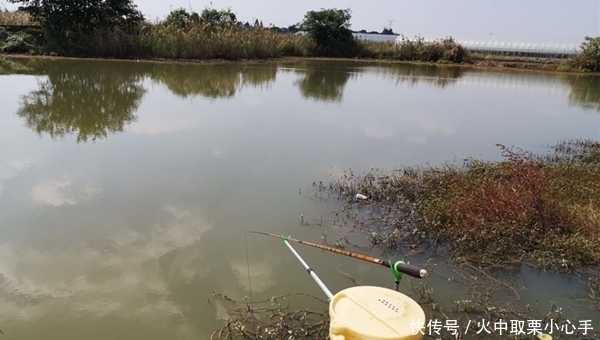 冬至前后钓鲫鱼，这些地方“藏鱼”多，遇上莫放过，大鲫鱼连竿上