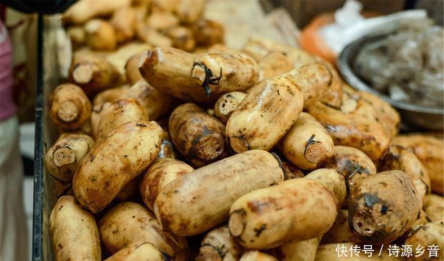 好吃|莲藕别再炒着吃了,教你好吃做法,简单一蒸,香脆可口,营养解馋