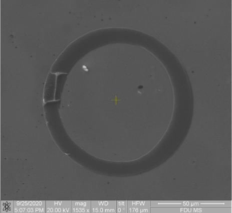 螺蛳壳里做道场，用微纳制造技术复制一个“新地球”