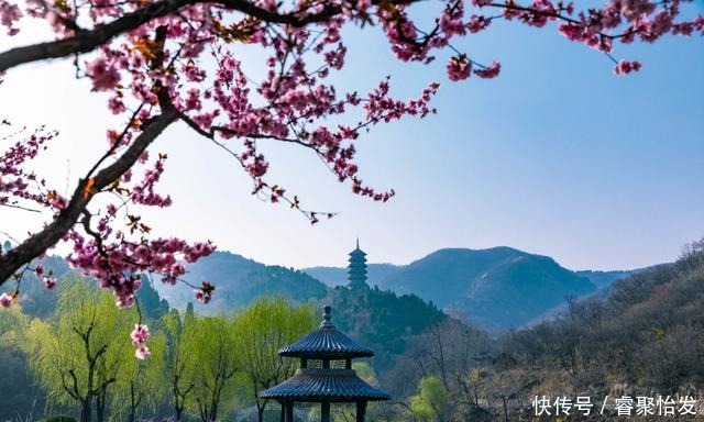 走，带上家人去野餐！《济南春日野餐指南》请收好！