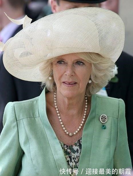 蛇形项链 卡米拉的蛇形项链20年前做情人时查尔斯送的,蛇蝎气质一目了然