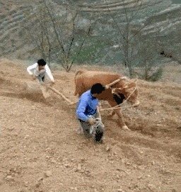 |搞笑GIF： 姑娘这技术 最起码有二十几年的功夫了