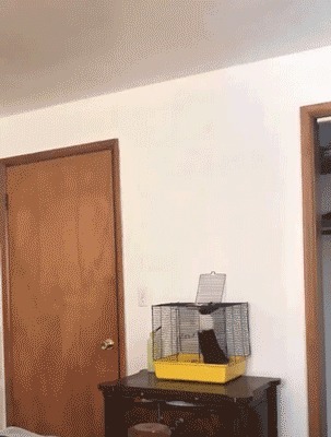 |搞笑GIF:专业电灯泡20年,这车妹子还能淡定的坐下去