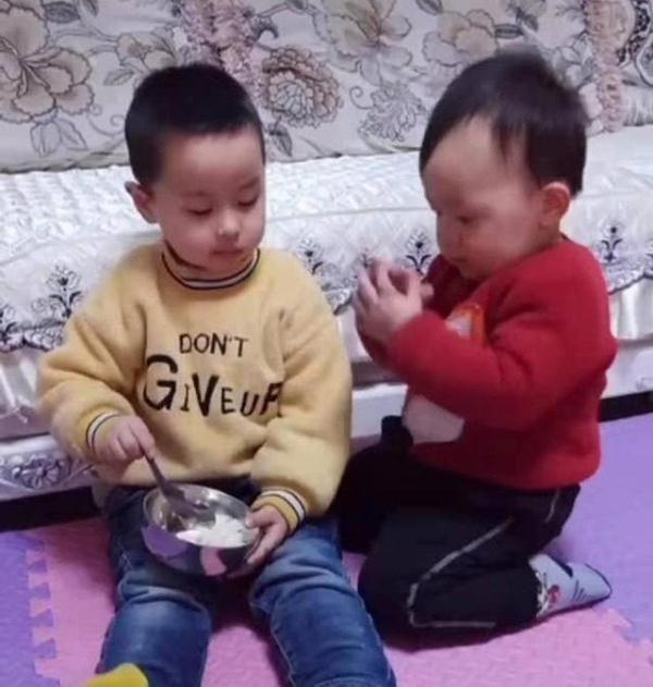 一箭双雕|哥哥独占饭碗,弟弟高情商讨要食物,宝妈“一箭双雕”方法太赞