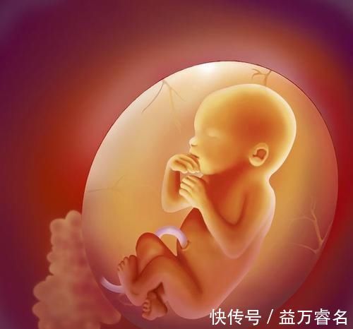 婴儿|预估胎儿体重,相差1100克,医院却赔偿42万元,原因何在?