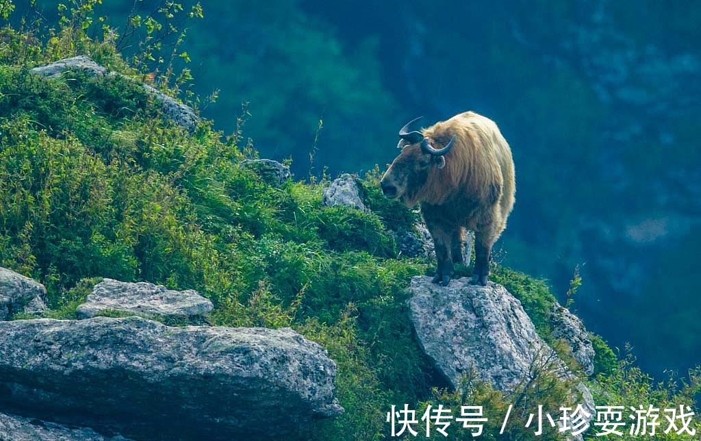 分界线|驴友失温丧命，秦岭到底有多危险？穿越“鳌太线”为何屡禁不绝？